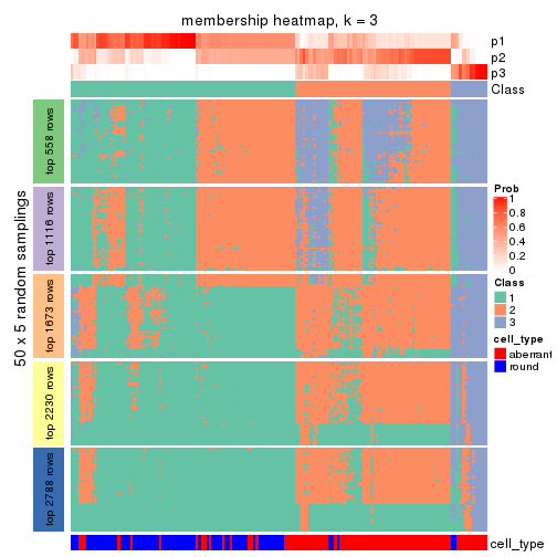 plot of chunk tab-CV-pam-membership-heatmap-2