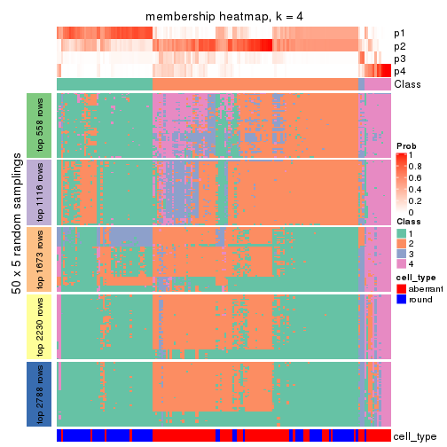 plot of chunk tab-CV-pam-membership-heatmap-3