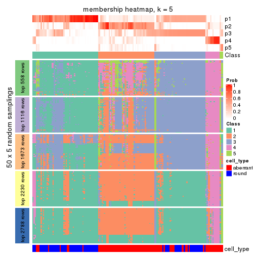 plot of chunk tab-CV-pam-membership-heatmap-4