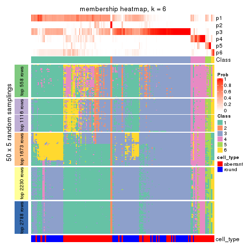 plot of chunk tab-CV-pam-membership-heatmap-5