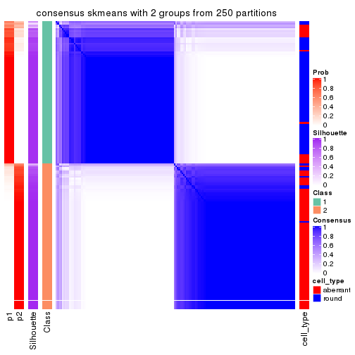 plot of chunk tab-CV-skmeans-consensus-heatmap-1