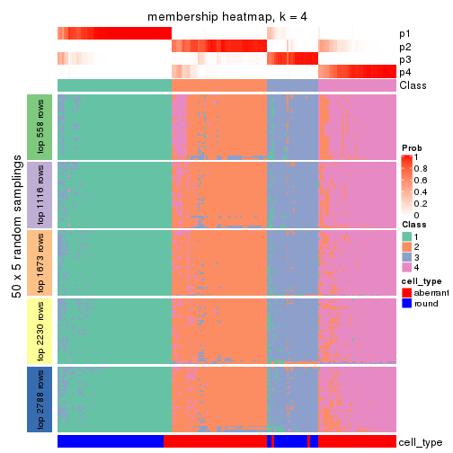 plot of chunk tab-CV-skmeans-membership-heatmap-3