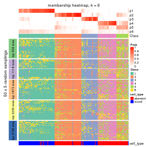 plot of chunk tab-CV-skmeans-membership-heatmap-5