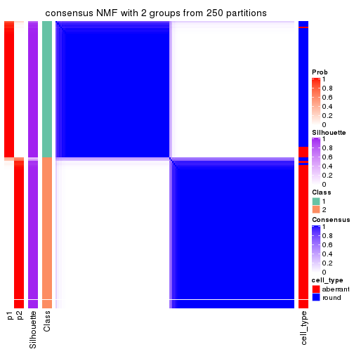 plot of chunk tab-MAD-NMF-consensus-heatmap-1