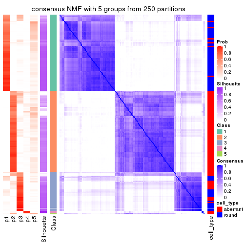 plot of chunk tab-MAD-NMF-consensus-heatmap-4