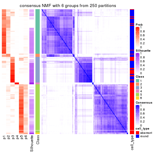 plot of chunk tab-MAD-NMF-consensus-heatmap-5