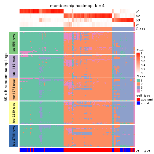 plot of chunk tab-MAD-NMF-membership-heatmap-3