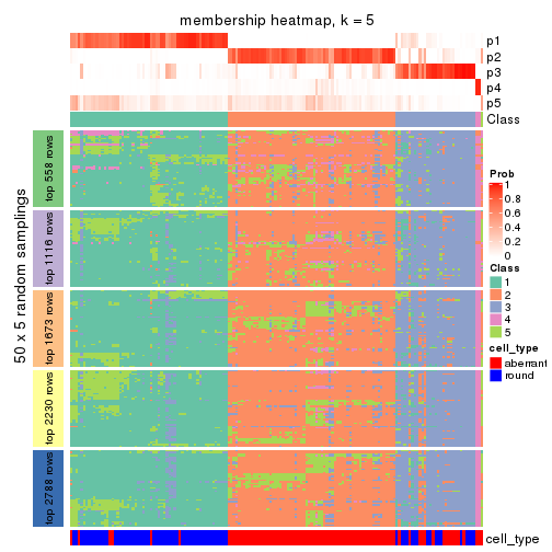 plot of chunk tab-MAD-NMF-membership-heatmap-4