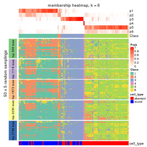 plot of chunk tab-MAD-NMF-membership-heatmap-5