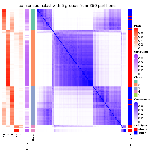 plot of chunk tab-MAD-hclust-consensus-heatmap-4