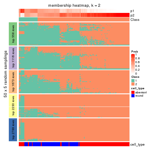 plot of chunk tab-MAD-hclust-membership-heatmap-1