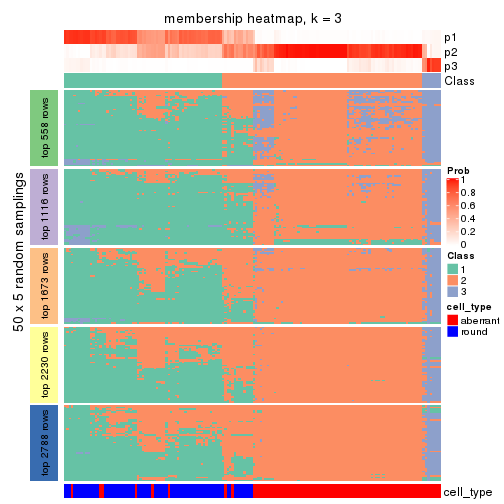 plot of chunk tab-MAD-hclust-membership-heatmap-2