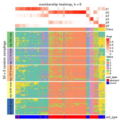 plot of chunk tab-MAD-hclust-membership-heatmap-5