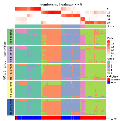 plot of chunk tab-MAD-kmeans-membership-heatmap-4