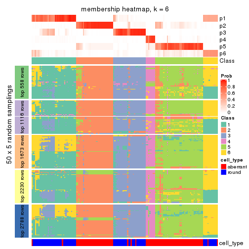 plot of chunk tab-MAD-kmeans-membership-heatmap-5