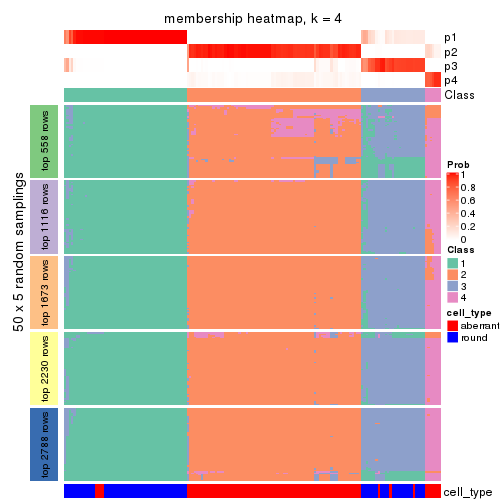 plot of chunk tab-MAD-mclust-membership-heatmap-3