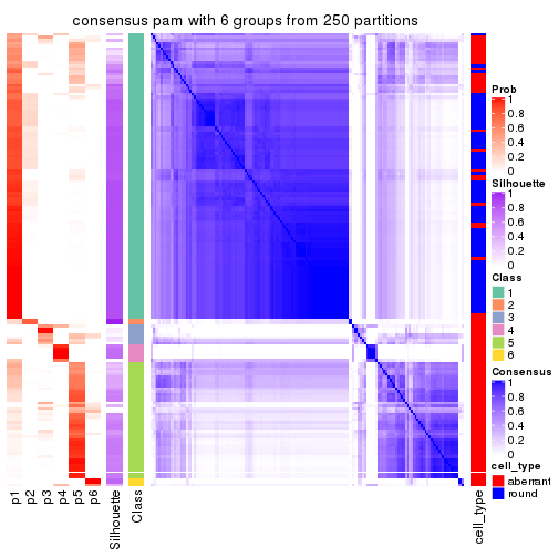 plot of chunk tab-MAD-pam-consensus-heatmap-5