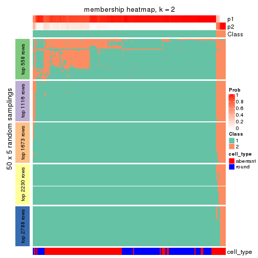 plot of chunk tab-MAD-pam-membership-heatmap-1