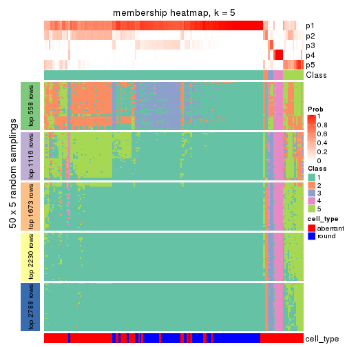 plot of chunk tab-MAD-pam-membership-heatmap-4