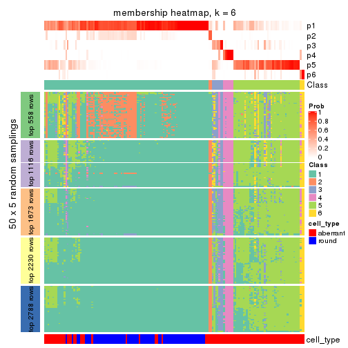 plot of chunk tab-MAD-pam-membership-heatmap-5