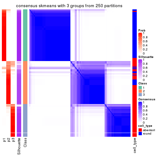 plot of chunk tab-MAD-skmeans-consensus-heatmap-2