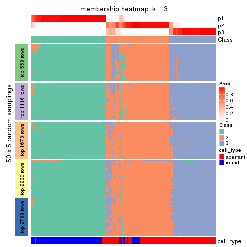 plot of chunk tab-MAD-skmeans-membership-heatmap-2