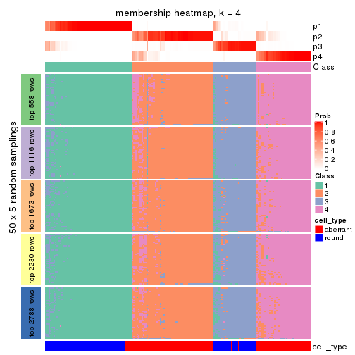 plot of chunk tab-MAD-skmeans-membership-heatmap-3