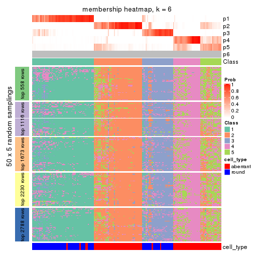 plot of chunk tab-MAD-skmeans-membership-heatmap-5