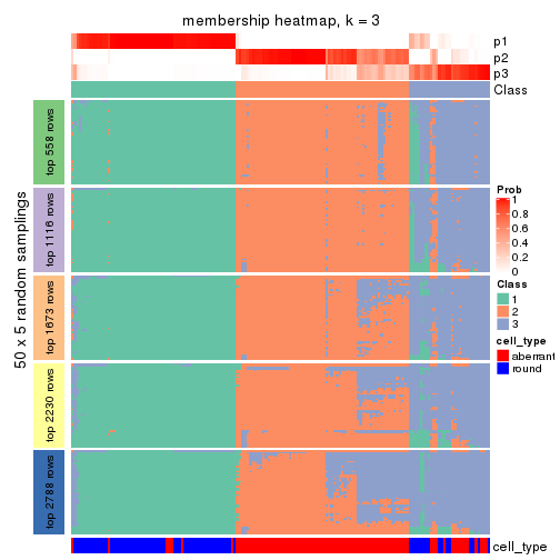 plot of chunk tab-SD-NMF-membership-heatmap-2