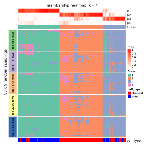 plot of chunk tab-SD-NMF-membership-heatmap-3