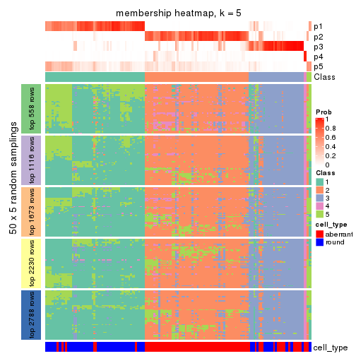 plot of chunk tab-SD-NMF-membership-heatmap-4