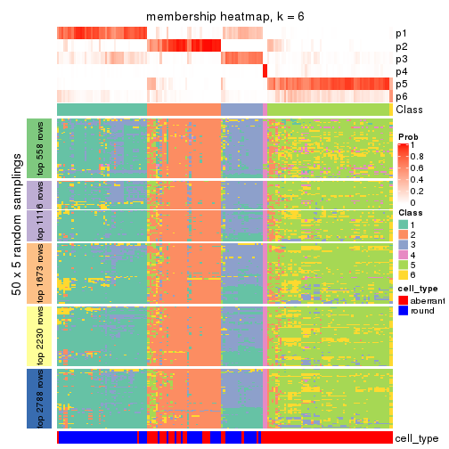 plot of chunk tab-SD-NMF-membership-heatmap-5