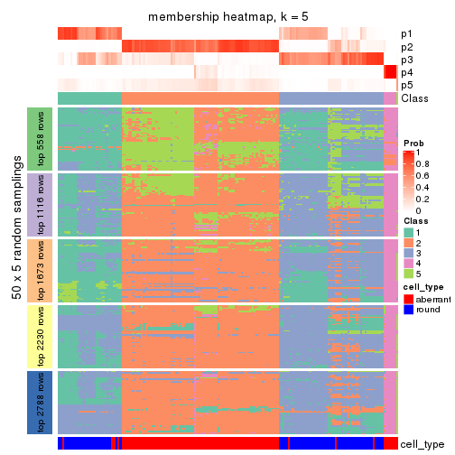 plot of chunk tab-SD-hclust-membership-heatmap-4