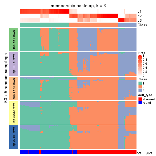 plot of chunk tab-SD-kmeans-membership-heatmap-2