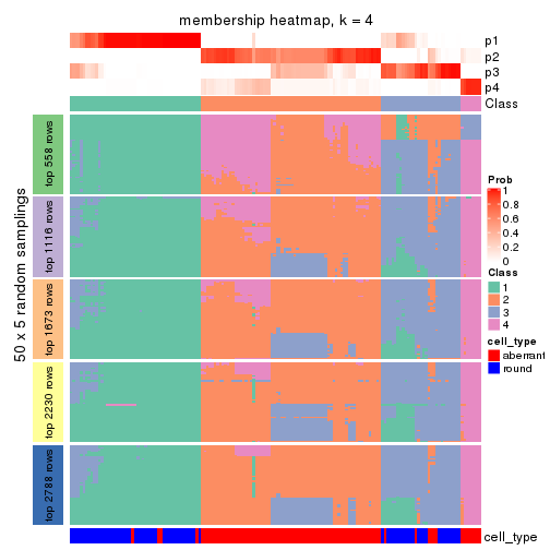 plot of chunk tab-SD-kmeans-membership-heatmap-3