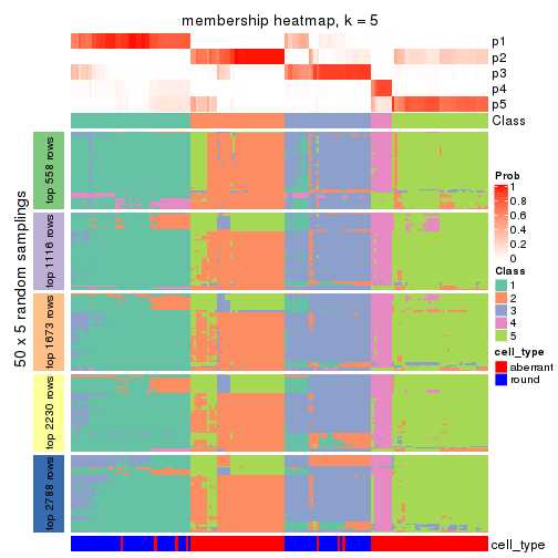 plot of chunk tab-SD-kmeans-membership-heatmap-4