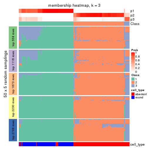 plot of chunk tab-SD-mclust-membership-heatmap-2