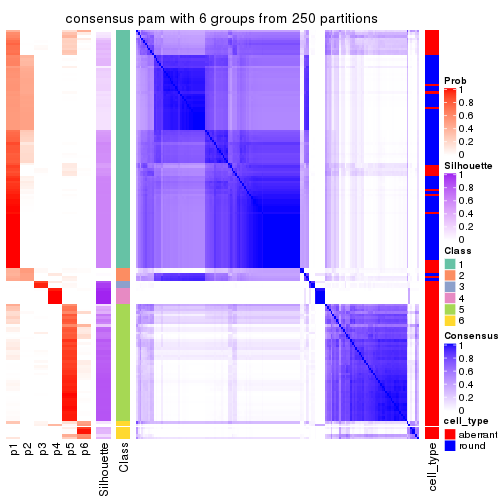 plot of chunk tab-SD-pam-consensus-heatmap-5