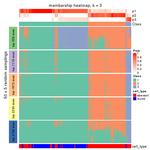 plot of chunk tab-SD-pam-membership-heatmap-2