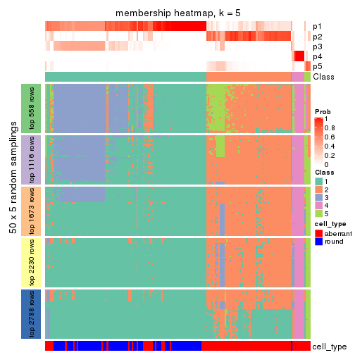 plot of chunk tab-SD-pam-membership-heatmap-4