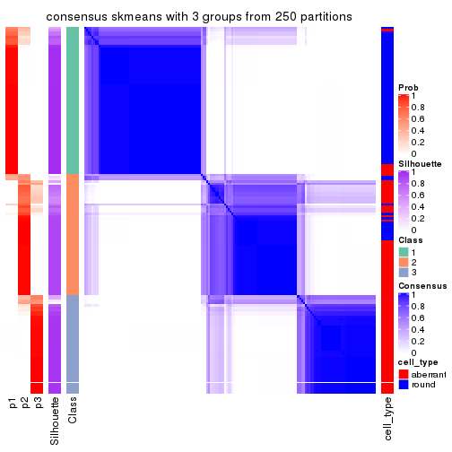 plot of chunk tab-SD-skmeans-consensus-heatmap-2