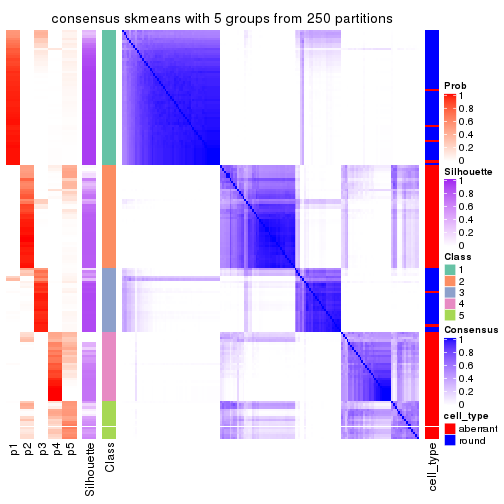 plot of chunk tab-SD-skmeans-consensus-heatmap-4