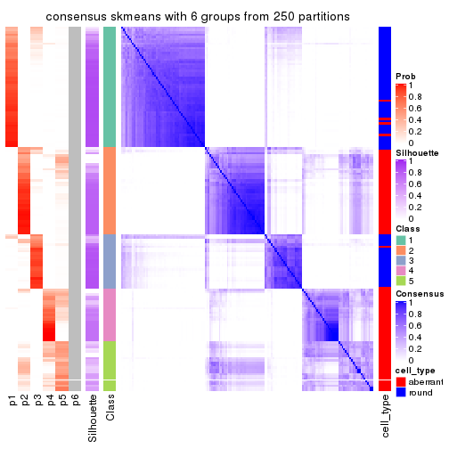 plot of chunk tab-SD-skmeans-consensus-heatmap-5