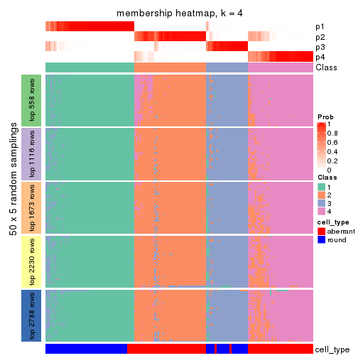 plot of chunk tab-SD-skmeans-membership-heatmap-3