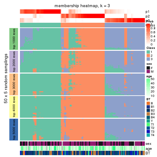 plot of chunk tab-ATC-NMF-membership-heatmap-2