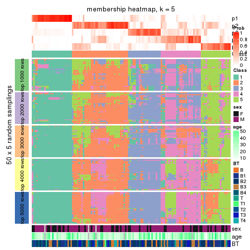 plot of chunk tab-ATC-NMF-membership-heatmap-4