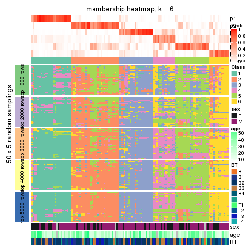 plot of chunk tab-ATC-NMF-membership-heatmap-5