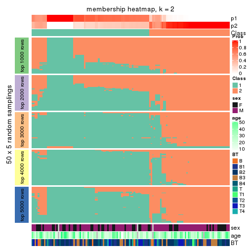 plot of chunk tab-ATC-hclust-membership-heatmap-1