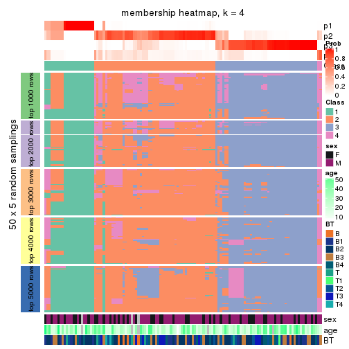 plot of chunk tab-ATC-hclust-membership-heatmap-3