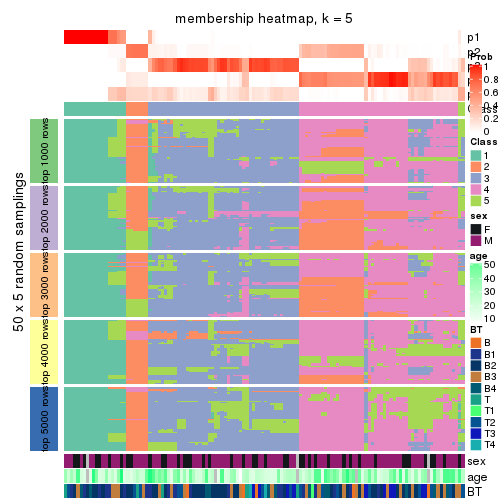 plot of chunk tab-ATC-kmeans-membership-heatmap-4